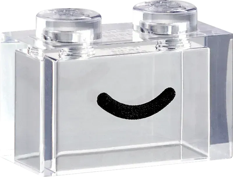 LEGO Transparante Doos 11040 Classic