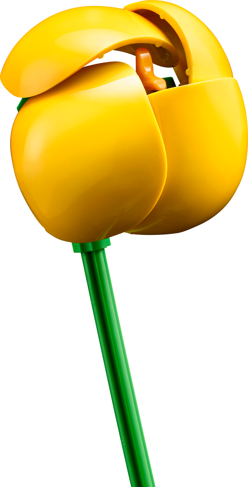 LEGO Klein zomers boeket 10347 Botanical