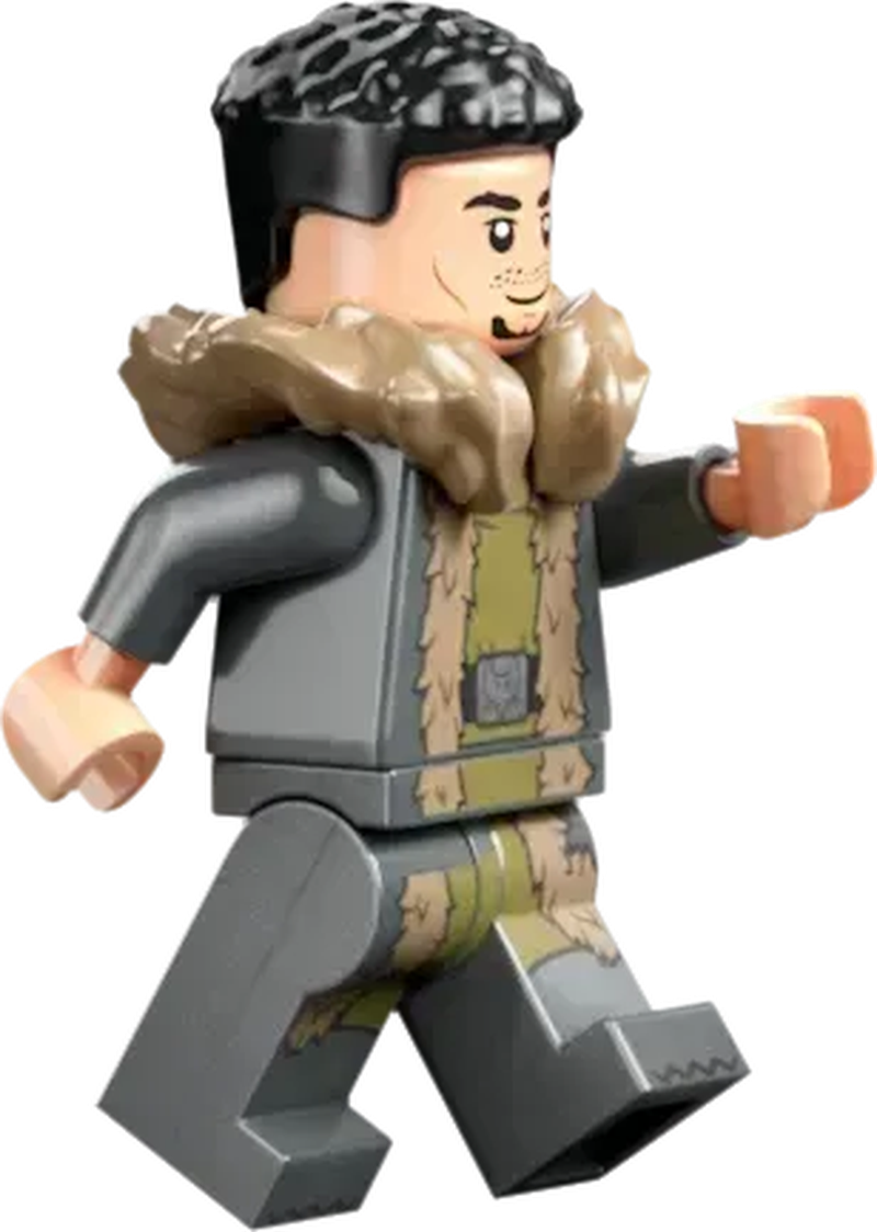 LEGO Triwizard Tournament: The Finish 76440 Harry Potter