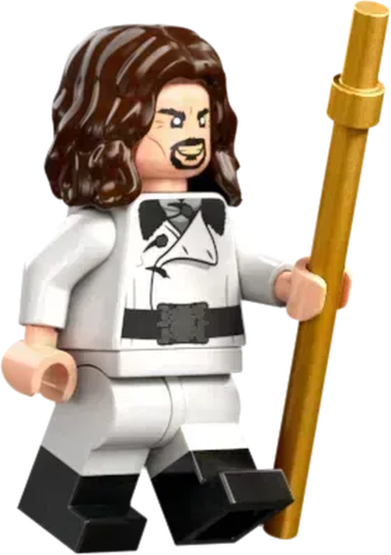 LEGO Triwizard Tournament: The Finish 76440 Harry Potter