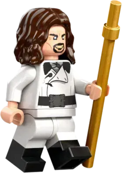 LEGO Triwizard Tournament: The Finish 76440 Harry Potter