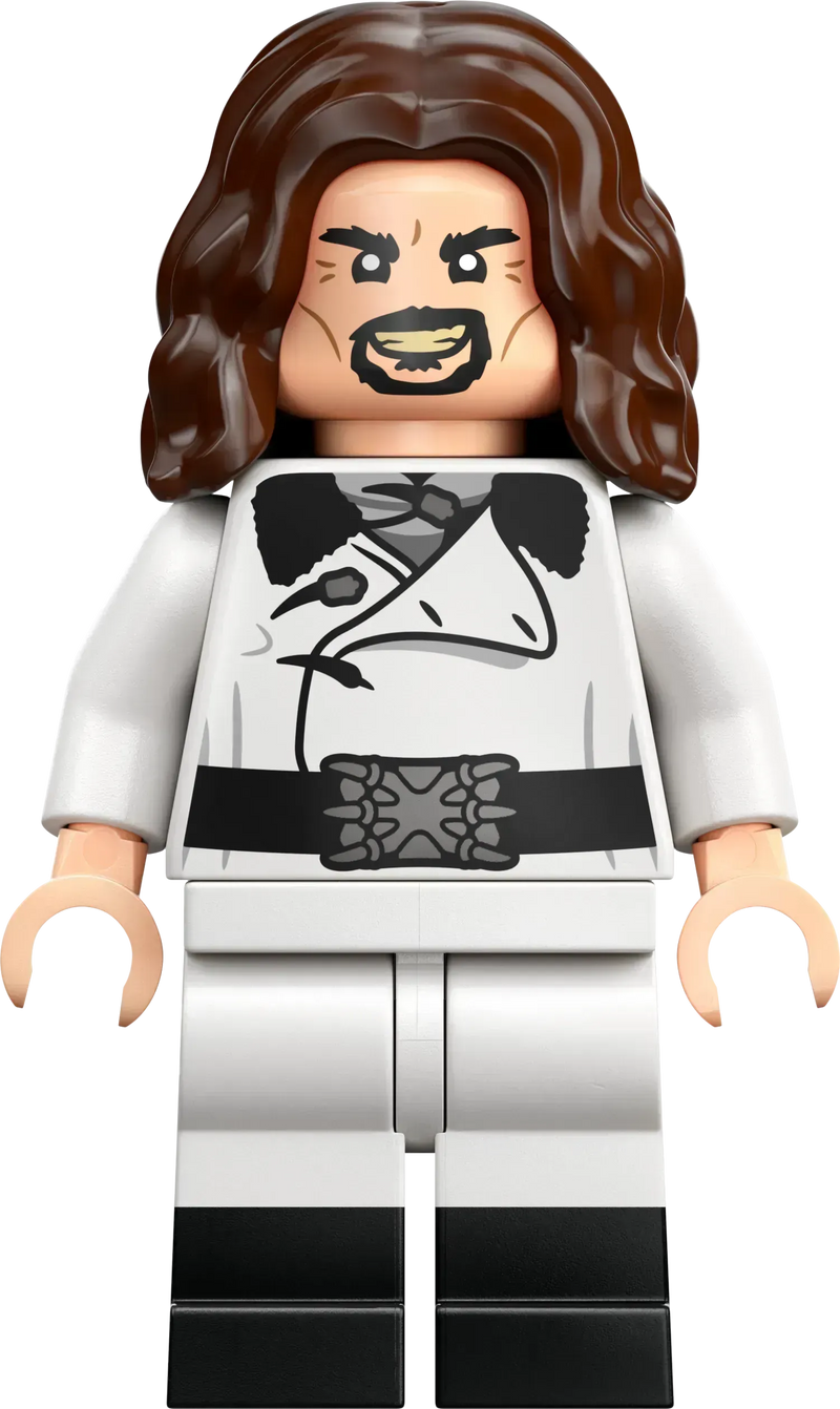 LEGO Triwizard Tournament: The Finish 76440 Harry Potter