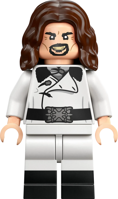 LEGO Triwizard Tournament: The Finish 76440 Harry Potter