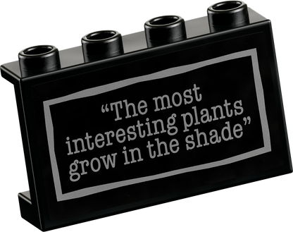 LEGO Zwarte dahlia 76784 Wednesday (Pre-Order: augustus)