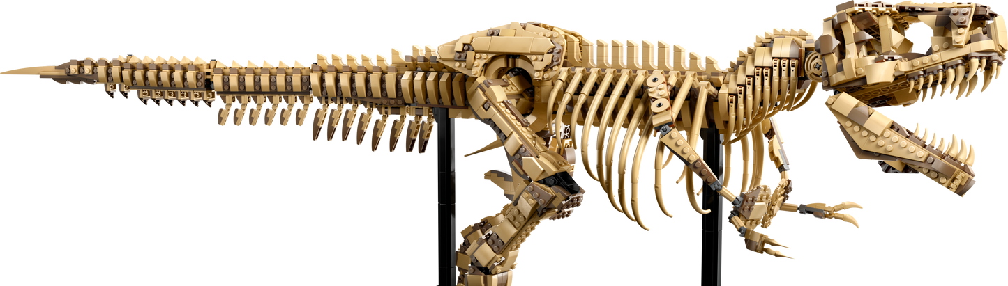 LEGO T. rex Skelet 76968 Jurassic World