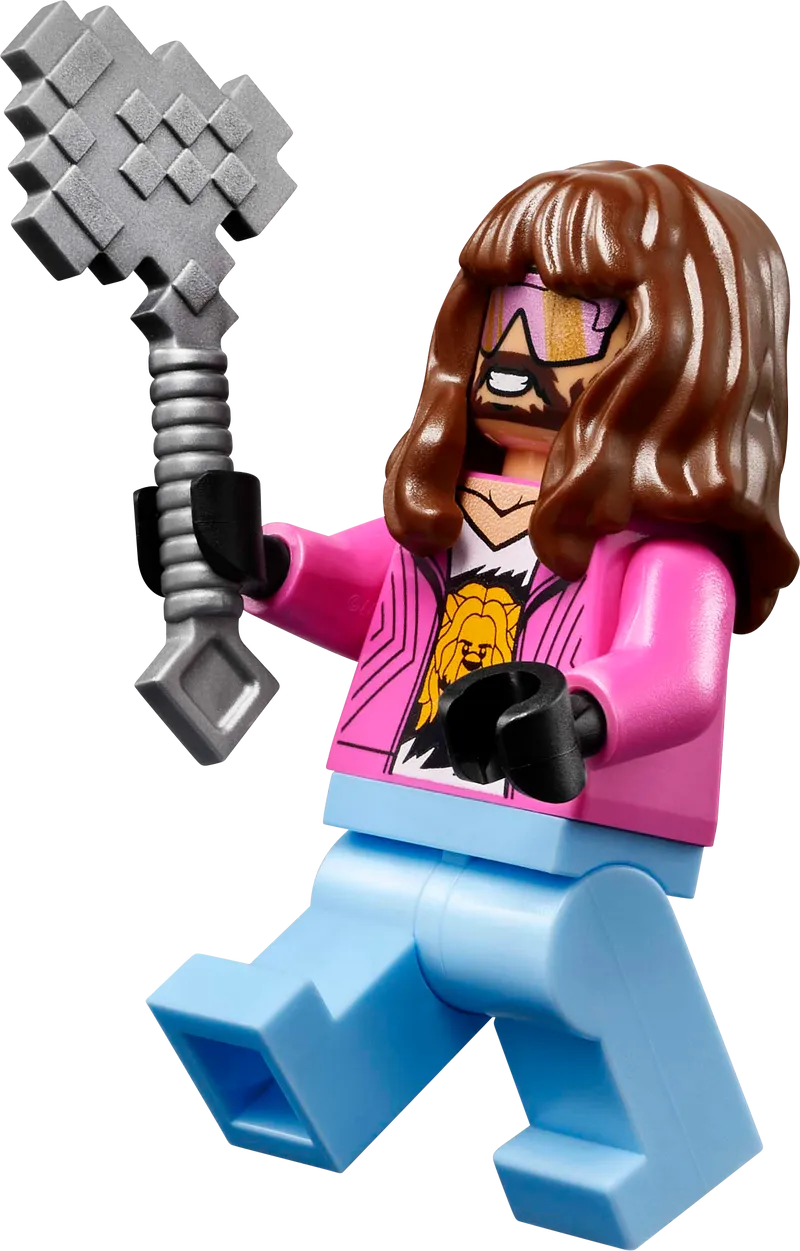 LEGO De arena bij het boslandhuis 21272 Minecraft