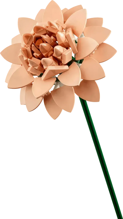 LEGO 10342 Roze boeket, nieuwe bloemenset van LEGO