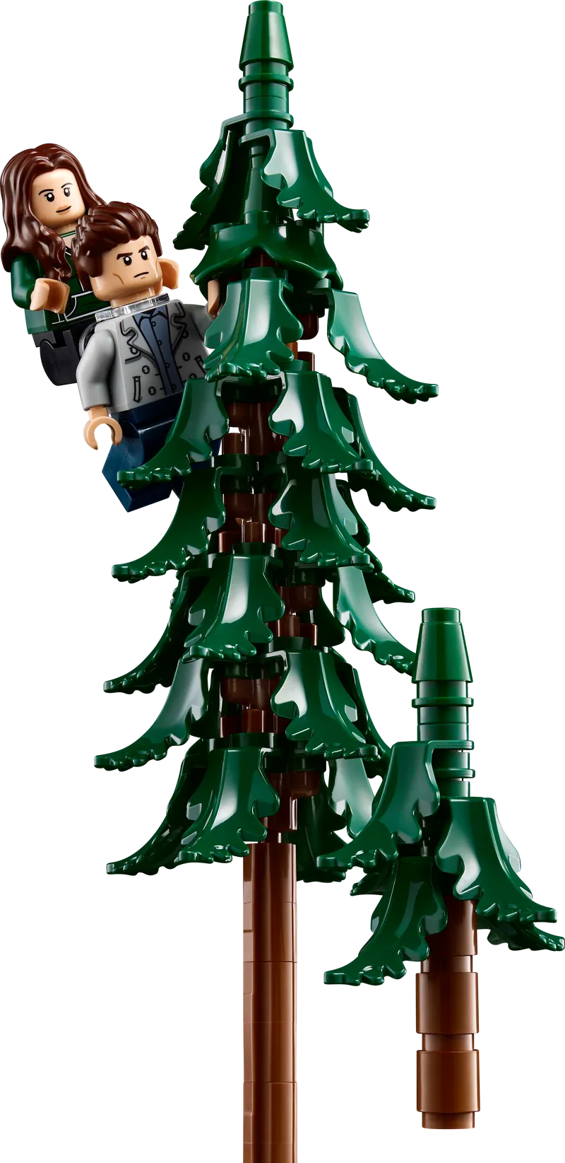 LEGO Twilight: The Cullen House 21354 Ideas