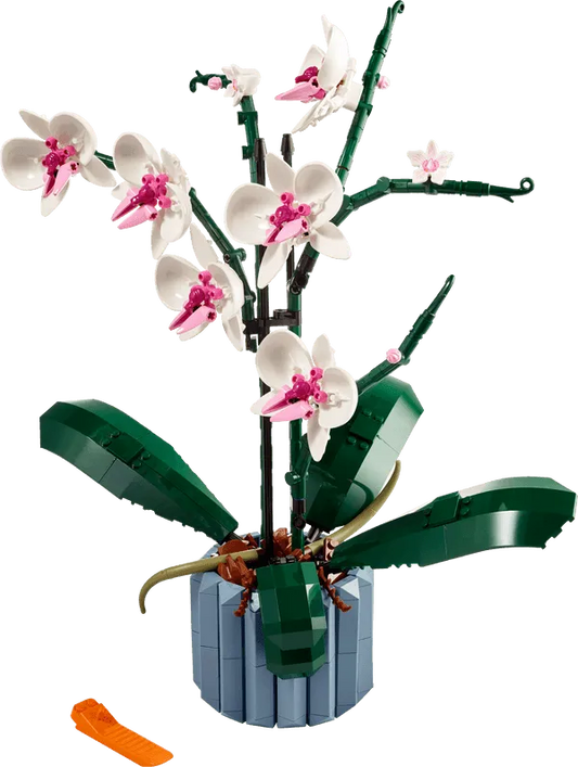 LEGO Orchideeën 10311 Ideas Verlichtingset LEGO IDEAS @ 2TTOYS | Official LEGO shop😊🥰 LEGO €. 14.99